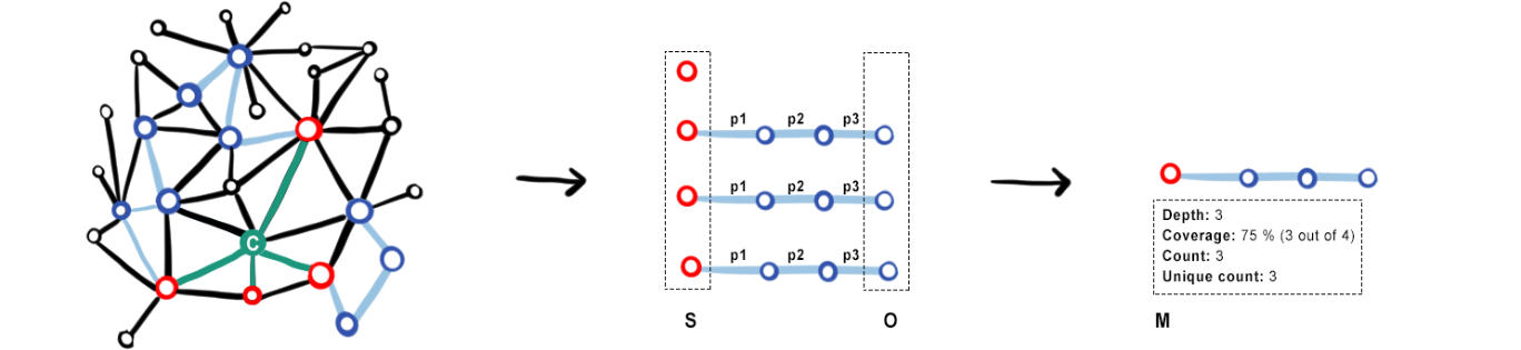 A path outline: for a set of entities S (red nodes) sharing a similarity criteria C (green node), a given sequence of properties p1/p2/.../pn (light blue edges) leads to a set of objects O. S and O are characterised with a set of measures M. One can see that the starting entity for which the path is missing is taken into account in the summary.
